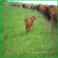 Factory price high quality grassland fence